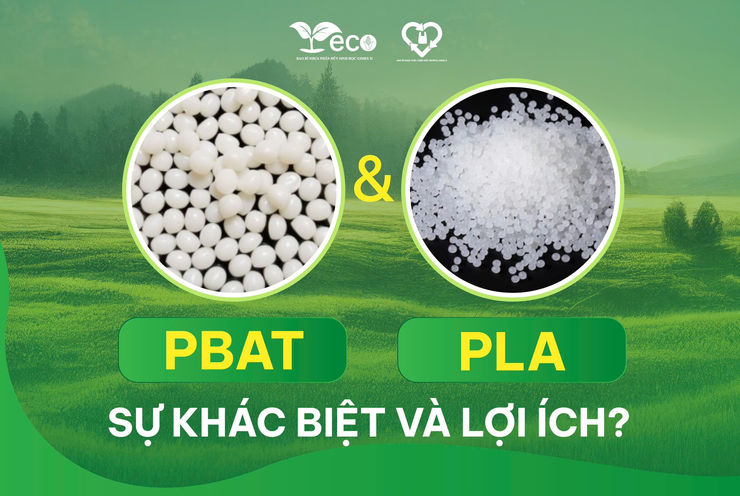 PBAT và PLA sự khác biệt và lợi ích