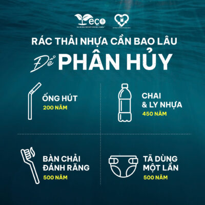 Thời gian phân hủy của nhựa thông thường