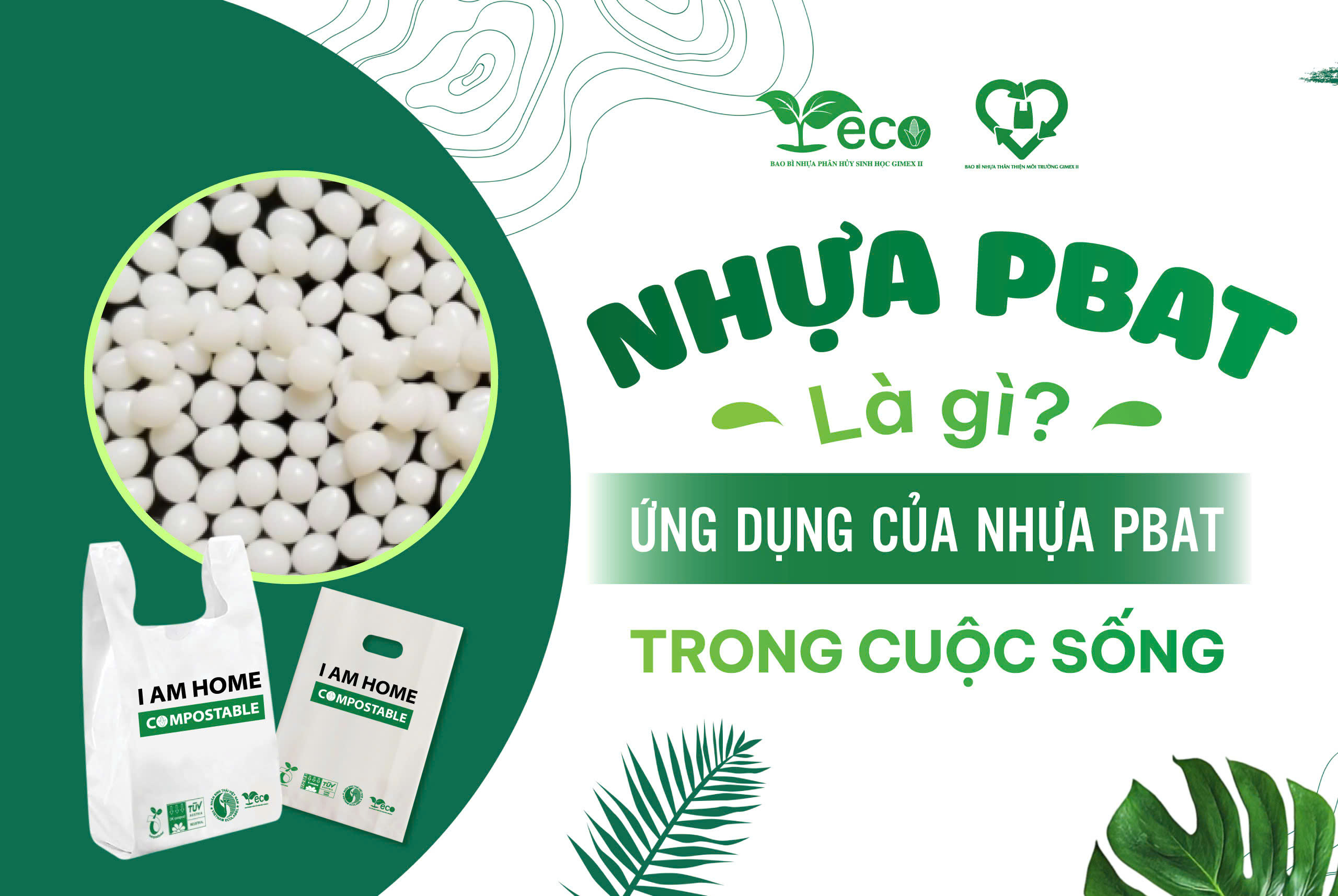 Nhựa PBAT là gì? Ứng dụng của nhựa PBAT trong cuộc sống