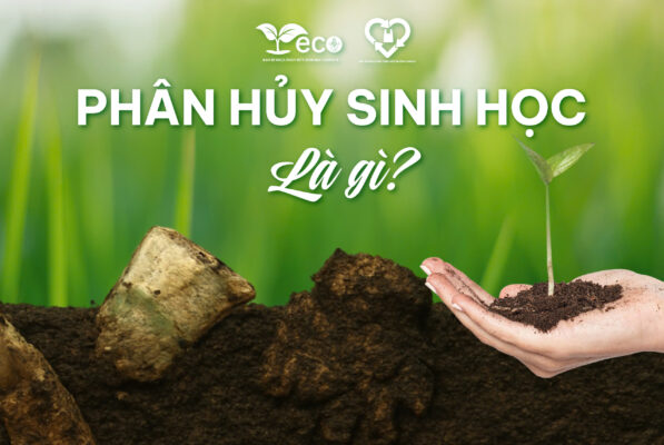 Phân hủy sinh học