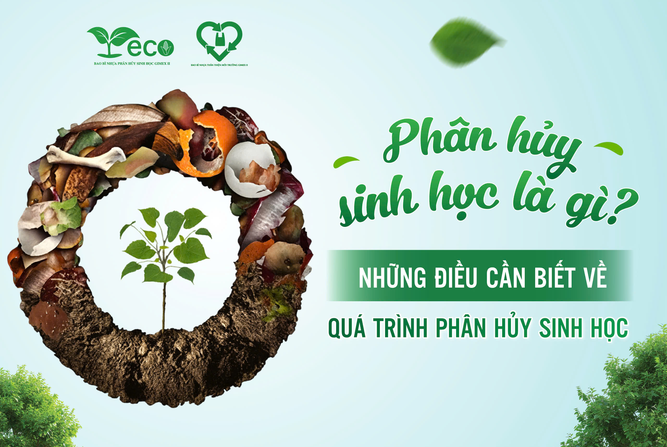 Phân hủy sinh học là gì? Những điều cần biết về quá trình phân hủy sinh học