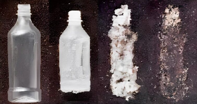 Quá trình phản xạ sinh học