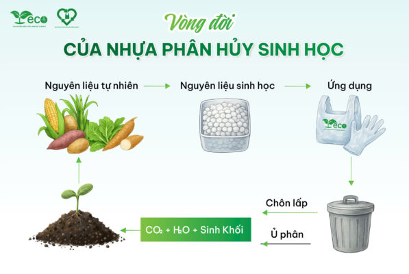 Vòng đời của nhựa phân hủy sinh học