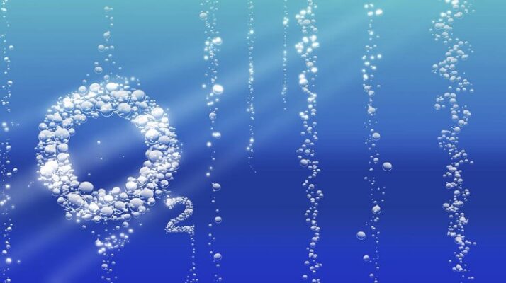 Oxy là yếu tố ảnh hưởng đến quá trình phát triển của vi sinh vật