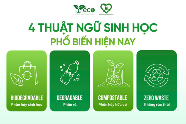 Thuật ngữ phân hủy sinh học phổ biến