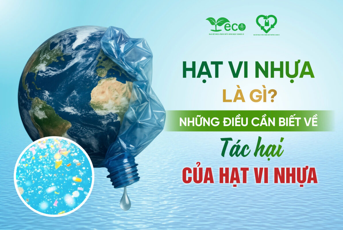 Vi nhựa là gì? Những điều cần biết về tác hại của hạt vi nhựa
