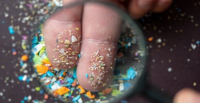 Hạt vi nhựa trong đất