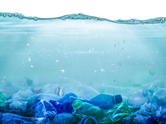 Nhựa PHA phân hủy trong đại dương