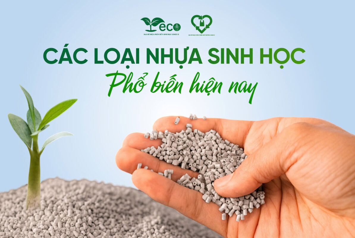 Nhựa sinh học phổ biến nhất trên thị trường hiện nay