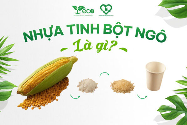 Nhựa tinh bột ngô