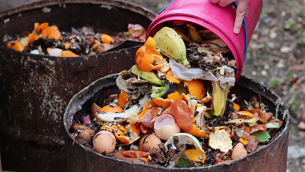 Phương pháp ủ phân tại nhà