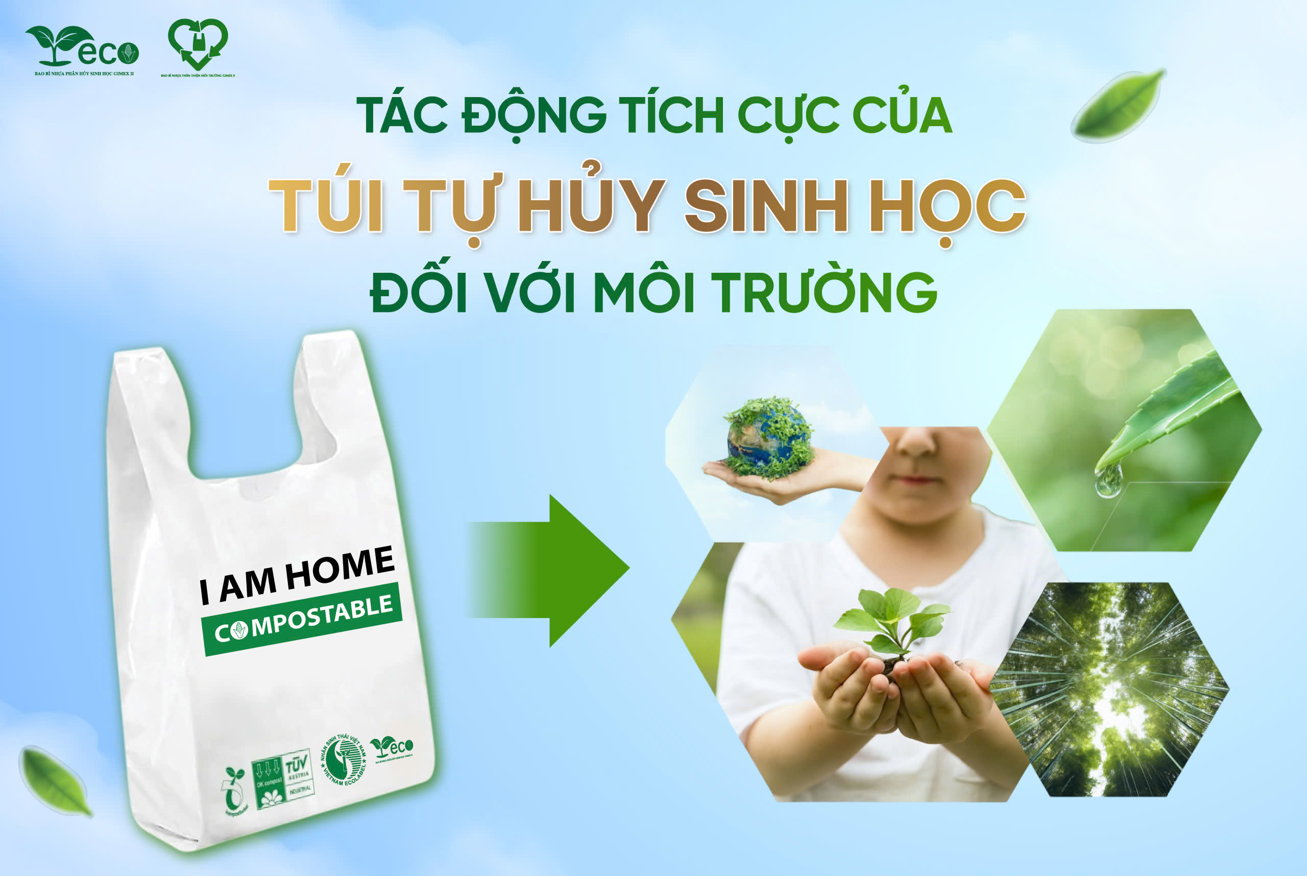 Tác động tích cực của túi phân hủy sinh học đối với môi trường