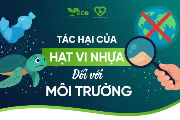Tác hại của vi nhựa đối với môi trường