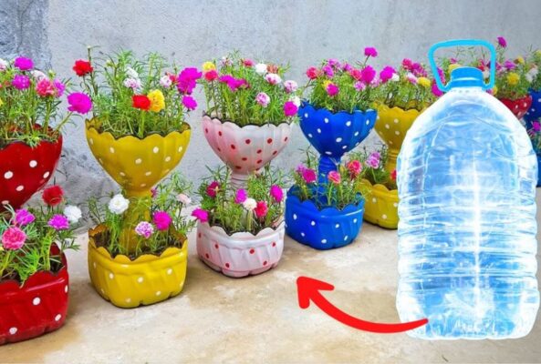 Tái chế đồ vật tại nhà