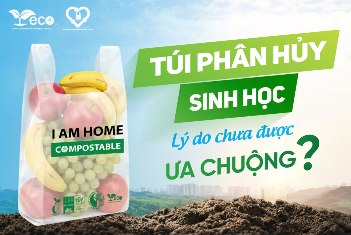 Túi phân hủy sinh học: Lý do chưa được ưa chuộng?