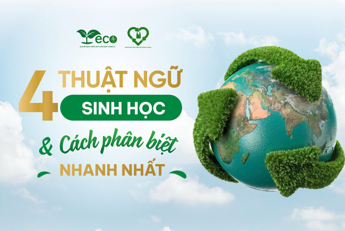 Thuật ngữ phân hủy sinh học phổ biến và cách phân biệt nhanh nhất