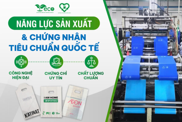 Năng lực sản xuất và chứng nhận của Gimex II