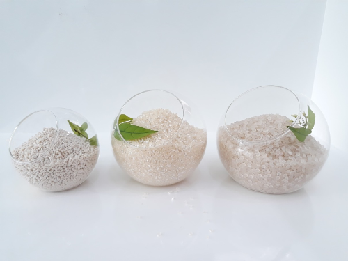 Hạt nhựa sinh học