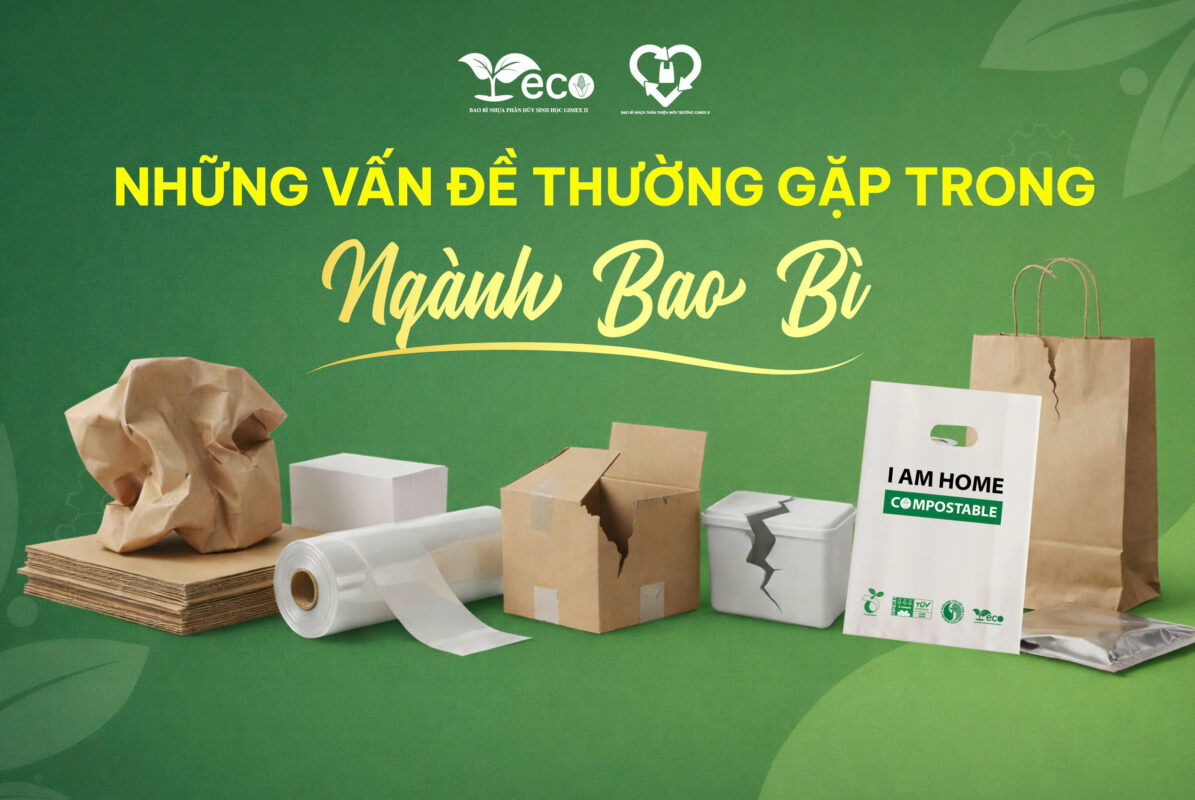 Những vấn đề thường gặp của ngành bao bì và giải pháp