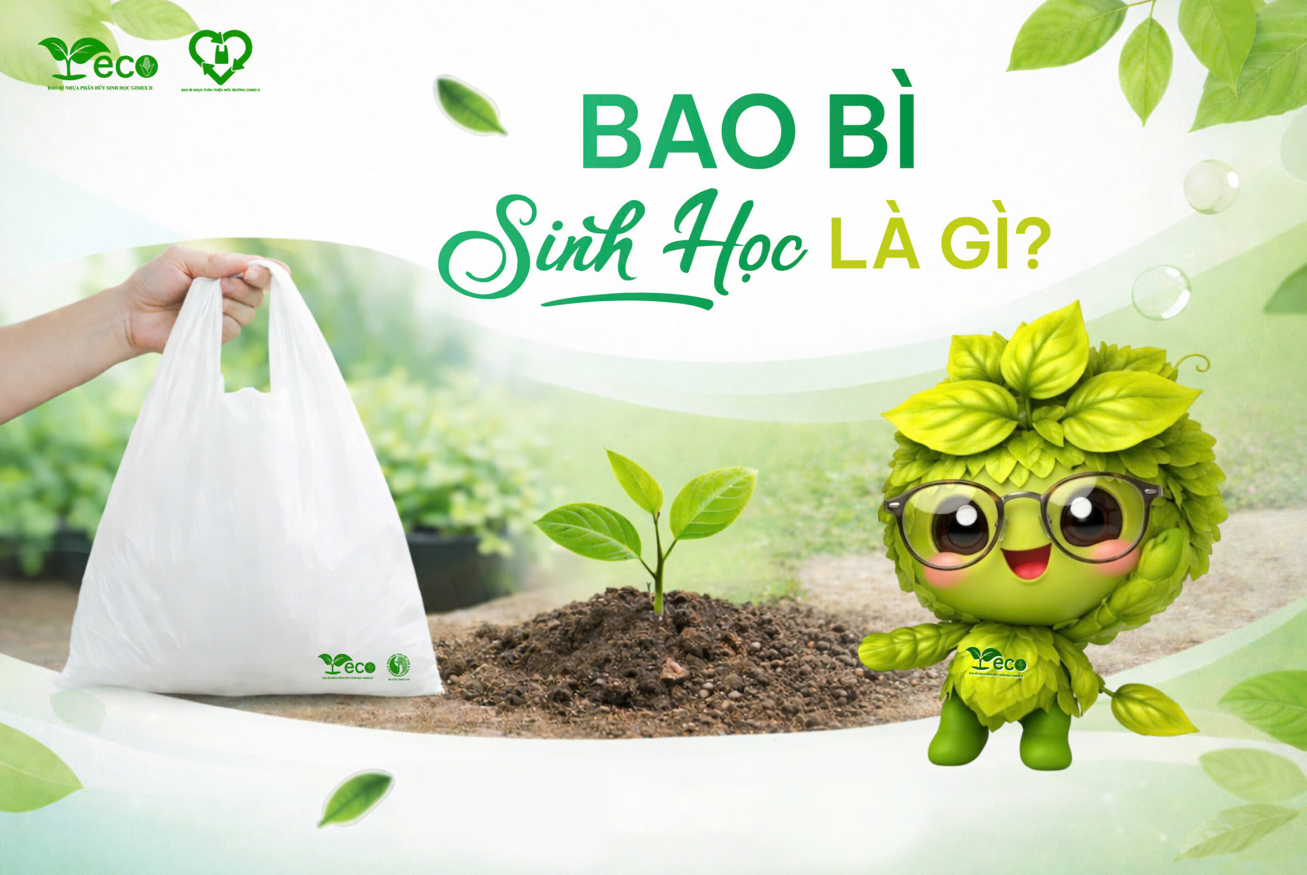 Bao bì sinh học là gì