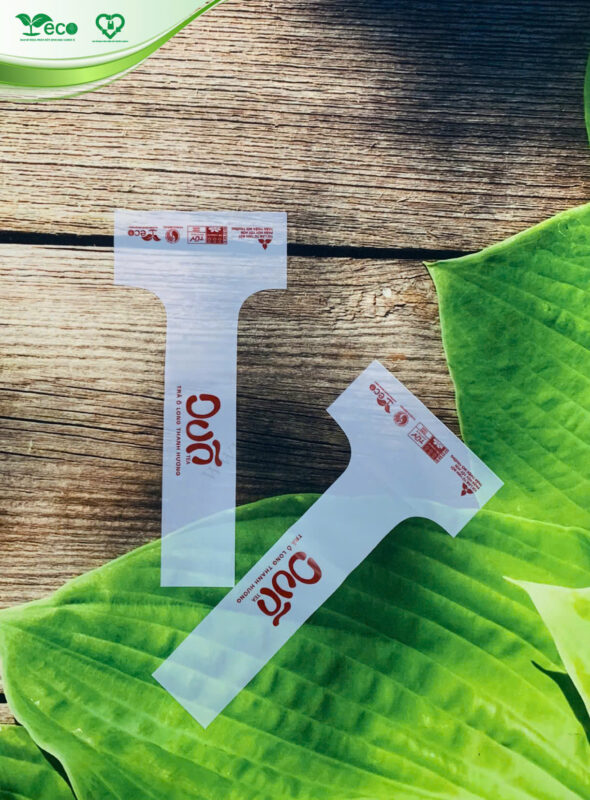 Túi đựng ly phân hủy sinh học