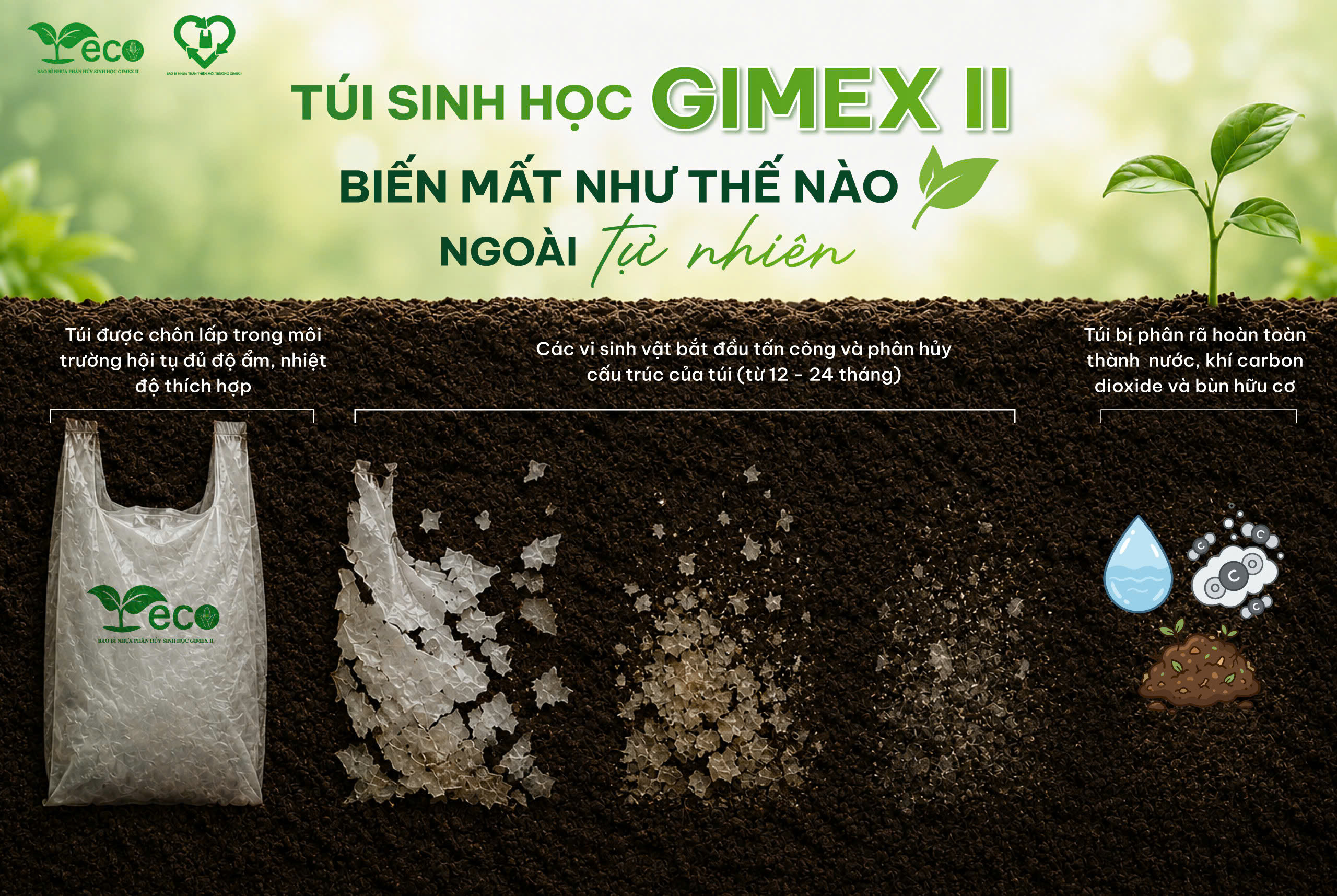 Quy trình phân hủy của túi tự hủy sinh học Gimex II