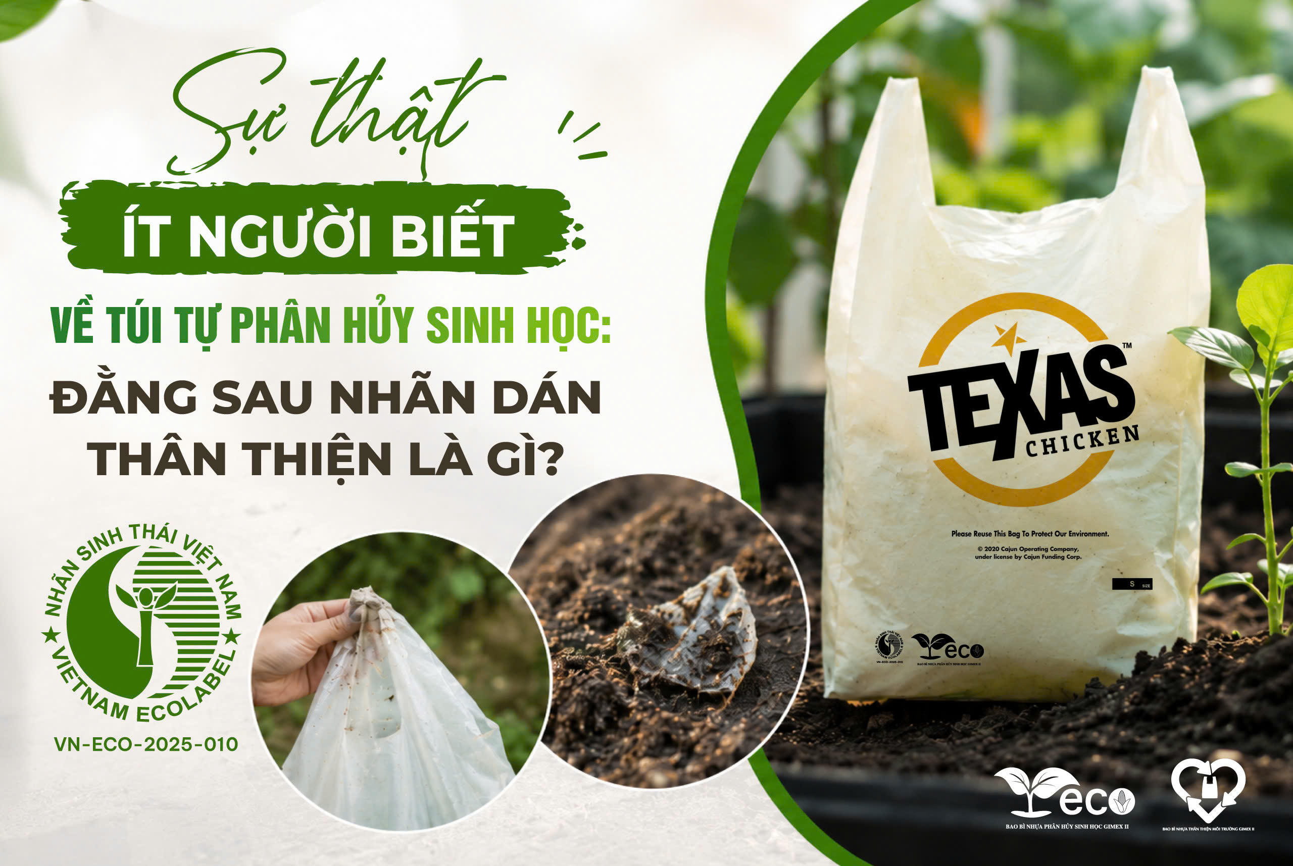 Sự thật ít người biết về túi tự phân hủy sinh học