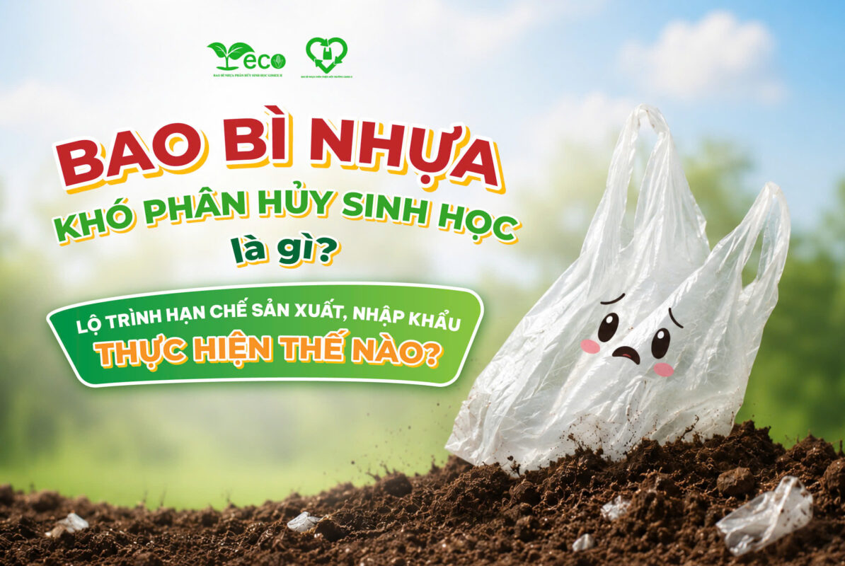 Bao bì nhựa khó phân hủy sinh học là gì ? Lộ trình hạn chế sản xuất bao bì nhựa