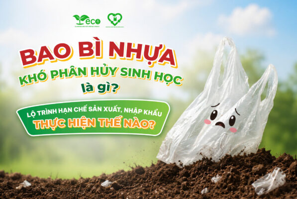 Bao bì nhựa khó phân hủy sinh học là gì ? Lộ trình hạn chế sản xuất bao bì nhựa