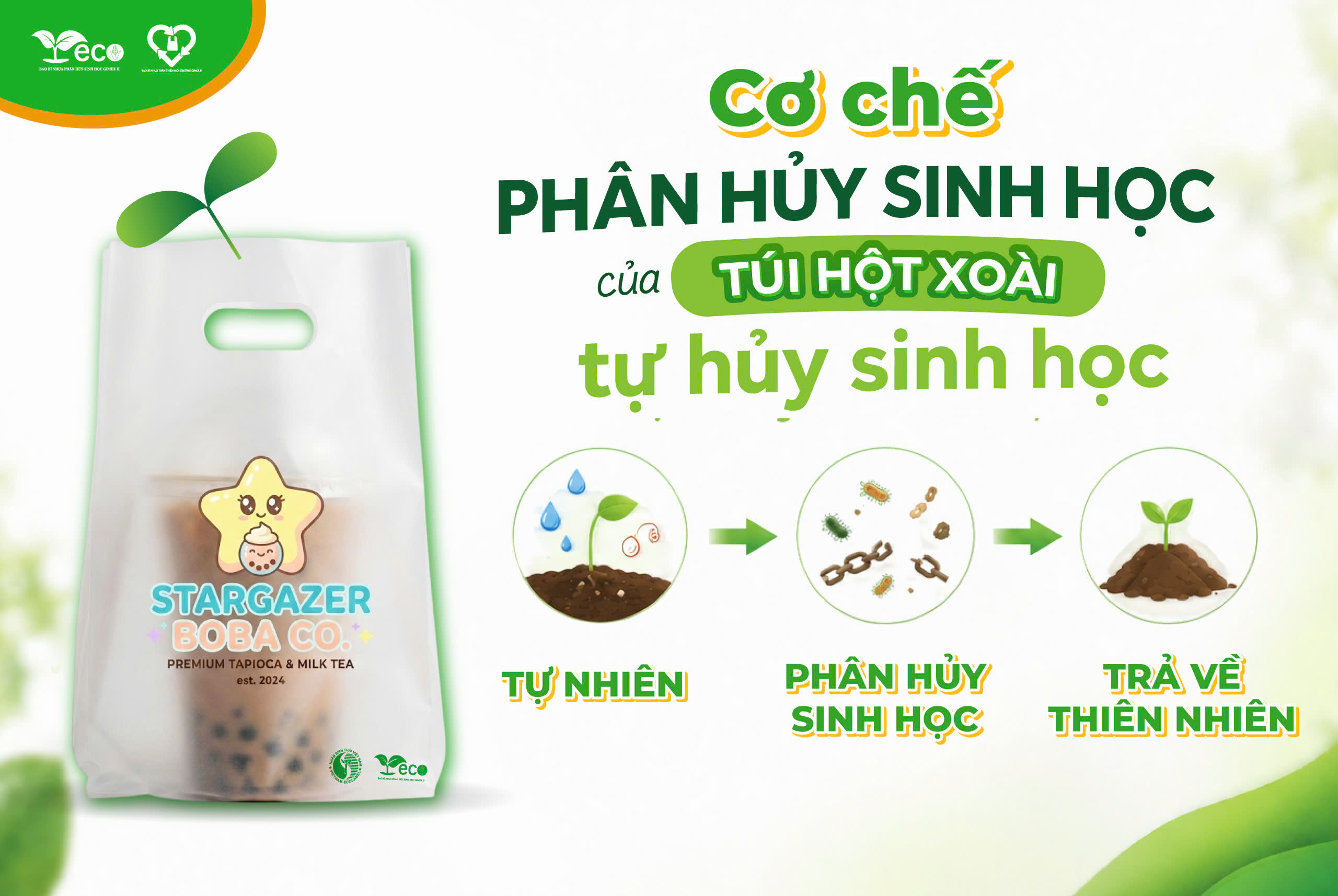 Cơ chế phân hủy sinh học của túi hột xoài tự hủy sinh học