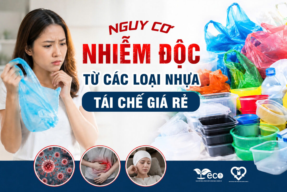 Tác hại của việc sử dụng túi nilon giá rẻ không an toàn