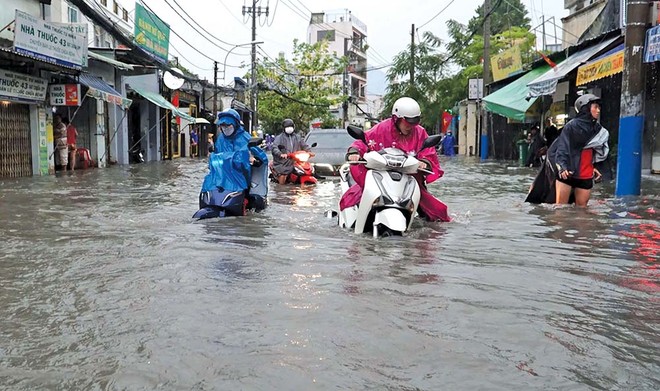 Tác hại của túi nilon