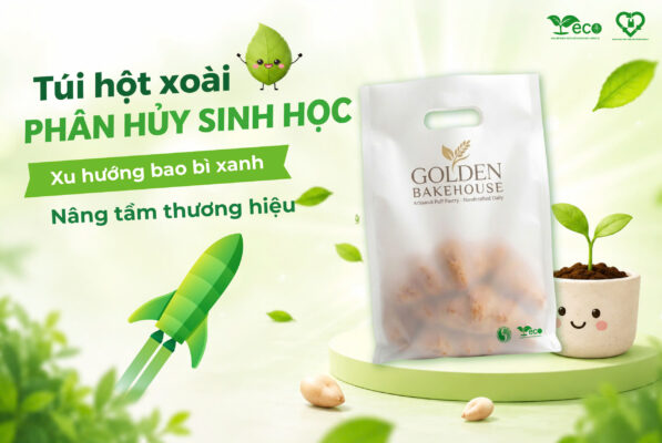 Túi hột xoài phân hủy sinh học