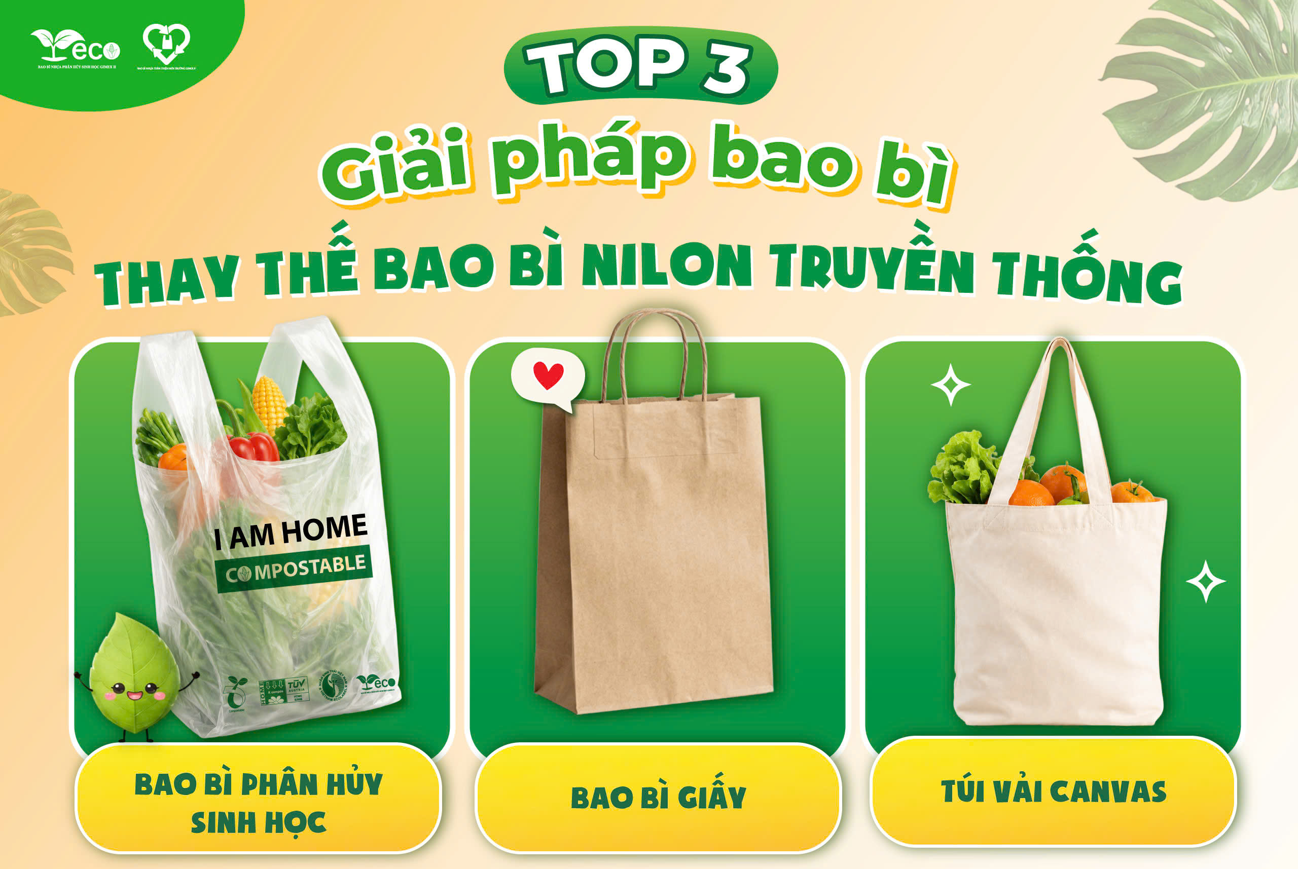 Top 3 giải pháp thay thế bao bì ni lông truyền thống